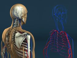 Human Resources Computer Programs Simplifying Staffing