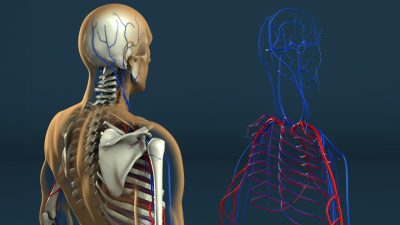 Human Resources Computer Programs Simplifying Staffing