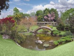 Huntington Gardens A Serene Oasis Of Natures Beauty