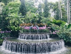 Botanical Gardens A Vibrant World Of Nature And Beauty