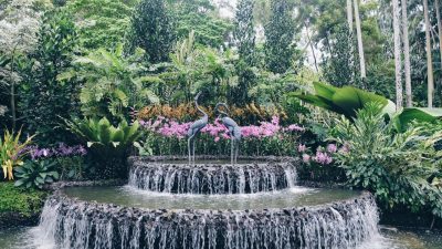 Botanical Gardens A Vibrant World Of Nature And Beauty