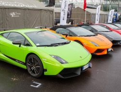 Vehicle insurance business insights and essentials