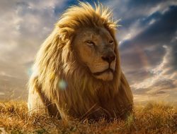 King Bed Frame With Storage For Smart Space Solutions