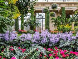 Longwood Gardens Tickets An Essential Guide