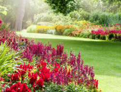 Coulter Gardens Nursery Cultivating Natures Beauty