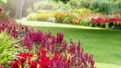 Coulter Gardens Nursery Cultivating Natures Beauty