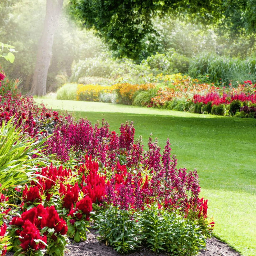 Coulter gardens nursery