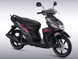 Motor Vehicle Accident Injuries Impact And Recovery