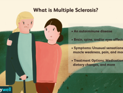 Ms In Electrical And Computer Engineering Overview