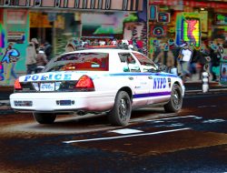 Vehicle Fleet Management System Optimizing Efficiency