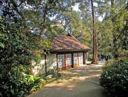 Descanso Gardens A Serene Oasis of Nature and Art