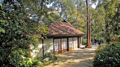 Descanso Gardens A Serene Oasis of Nature and Art