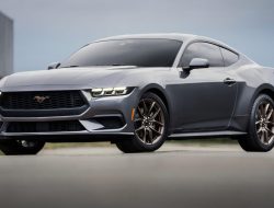 Auto Insurance Vehicle Understanding Coverage Options