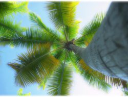 Palm Beach Gardens Fl Locksmith Providing Essential Security