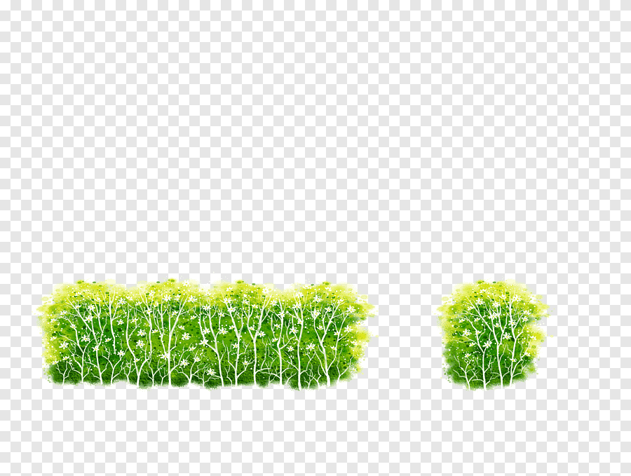 Green leafed trees illustration, Shrub Illustration, Green bushes ...