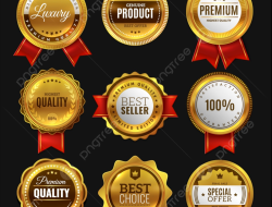 Best Online Computer Science Degrees Insights And Options