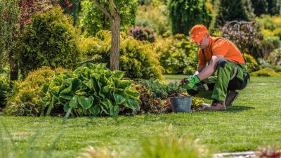 Gardeners Supply For All Your Gardening Needs