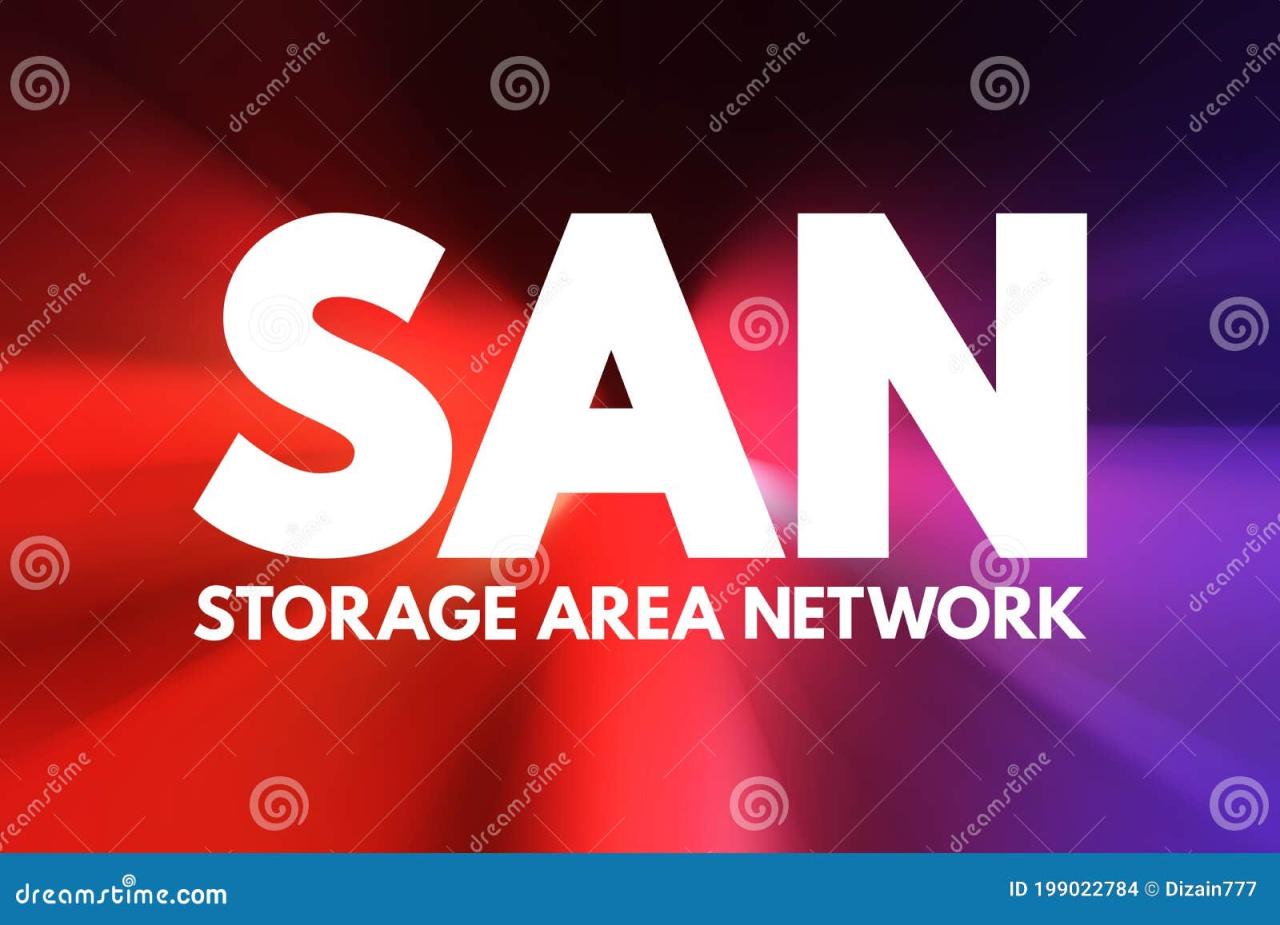 San storage definition