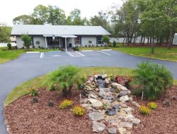 Spring gardens recovery revitalizing natures beauty