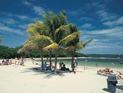 Florida Resident Busch Gardens Tampa Offers Thrilling Experiences