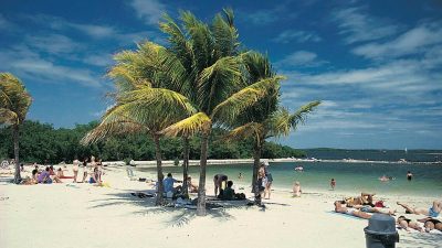 Florida Resident Busch Gardens Tampa Offers Thrilling Experiences