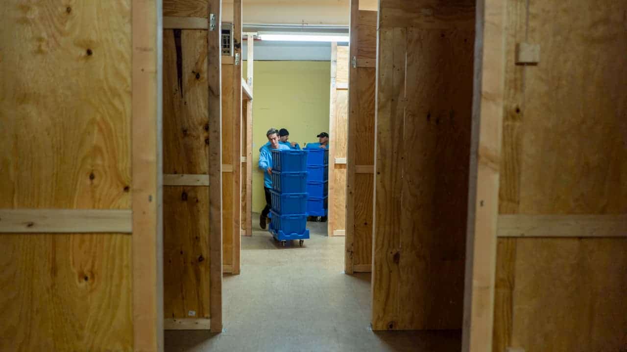 Boston Moving Containers and Self Storage - UNITS Moving and Storage of ...