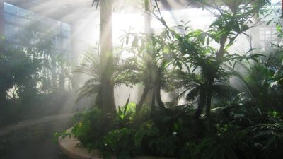 Atlanta Botanical Gardens: Everything You Need To Know | Plantly