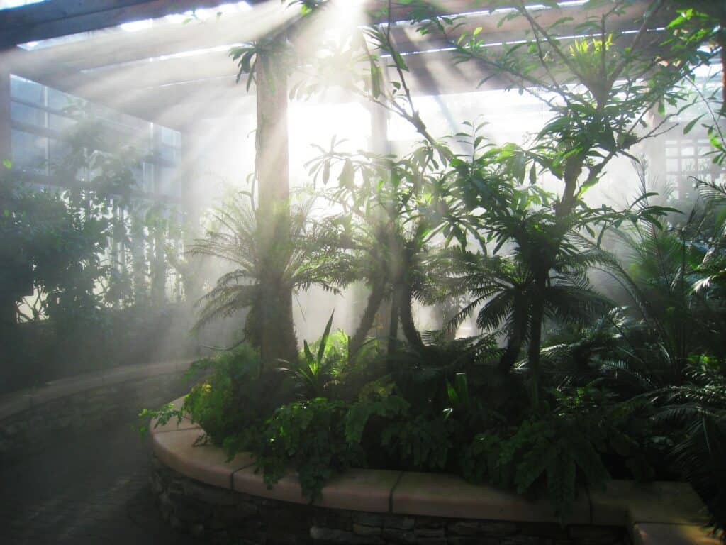 Atlanta Botanical Gardens: Everything You Need To Know | Plantly