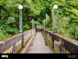 Washington Park Arboretum Botanic Gardens A Green Haven