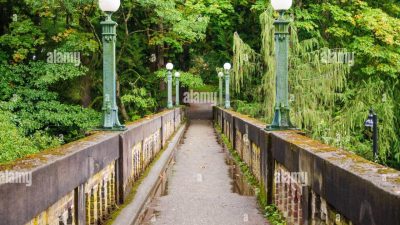 Washington park arboretum botanic gardens