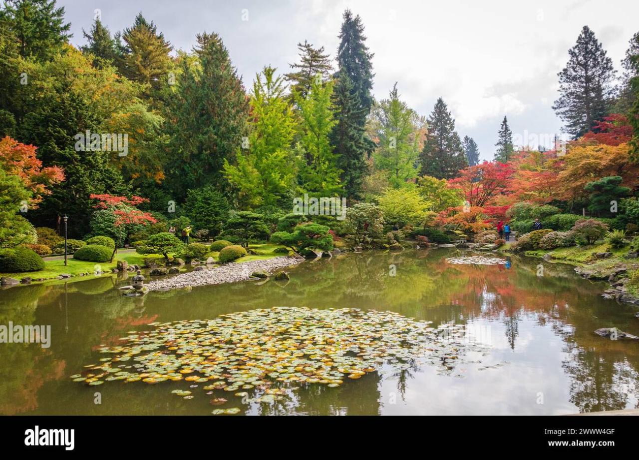 The Washington Park Arboretum, Botanic Gardens in the City of Seattle ...
