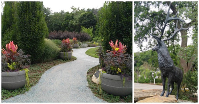 Wellfield Botanic Gardens Pavilion - Mass Timber WIN Project ... Wellfield Botanic Gardens Pavilion - Mass Timber WIN Project ...