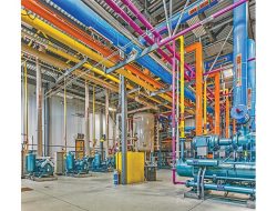 United States Cold Storage A Vital Industry Overview