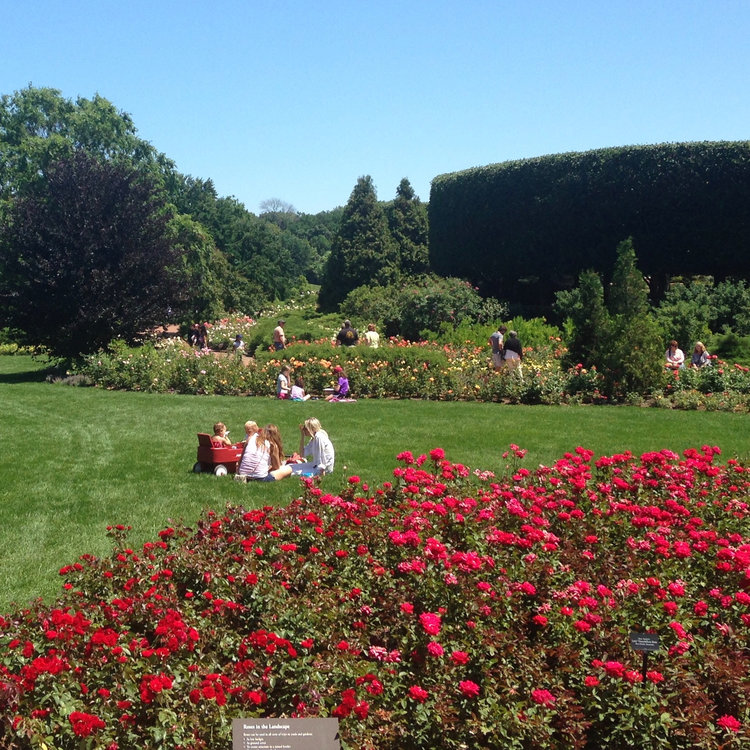 Botanical gardens nashville