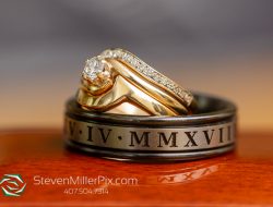 Bok Tower Gardens A Serene Botanical Escape