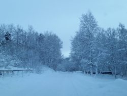 Cold storage essential for modern preservation needs